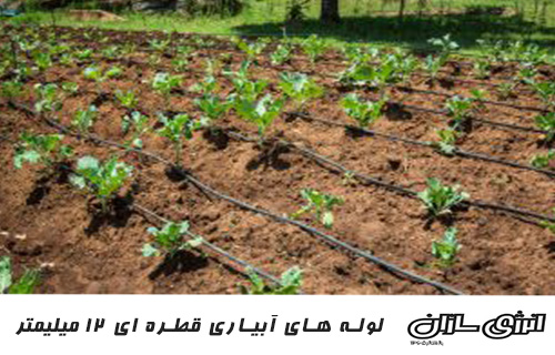 کاربرد لوله پلی اتیلن در کشاورزی