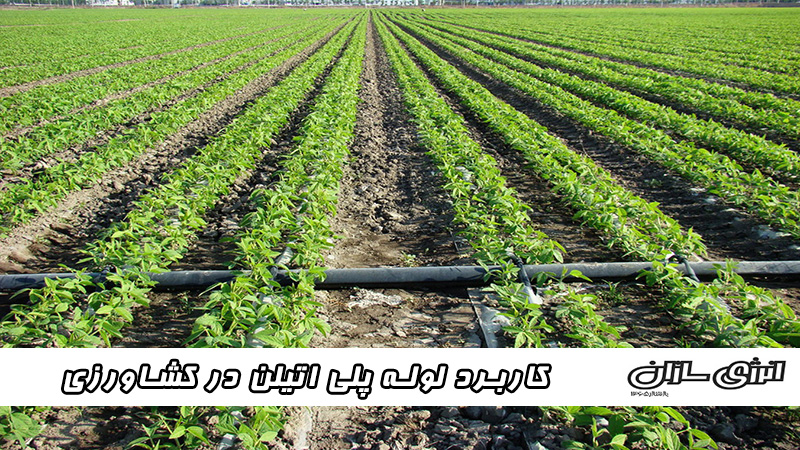 کاربرد لوله پلی اتیلن در کشاورزی
