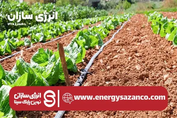 نوار تیپ آبیاری 5 استفاده از نوار تیپ آبیاری در زمین کشاورزی