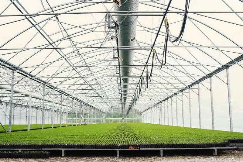 لوله گلخانه 3 انواع تجهیزات گلخانهای کدامند؟