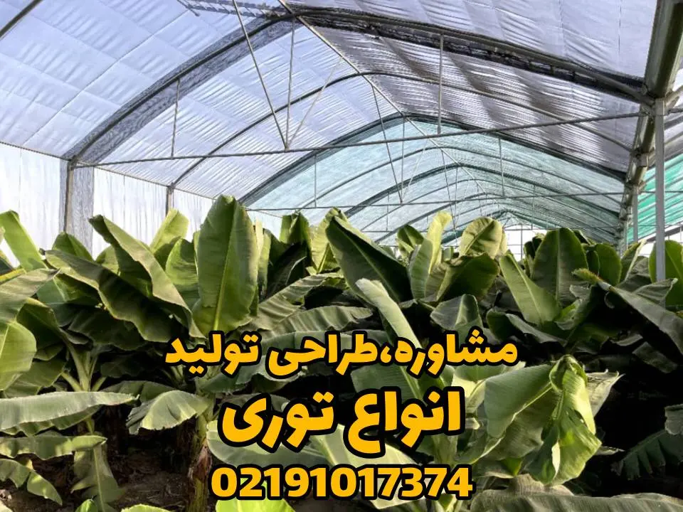 توری سایبان 4 InShot 20240730 120627220 توری سایبان