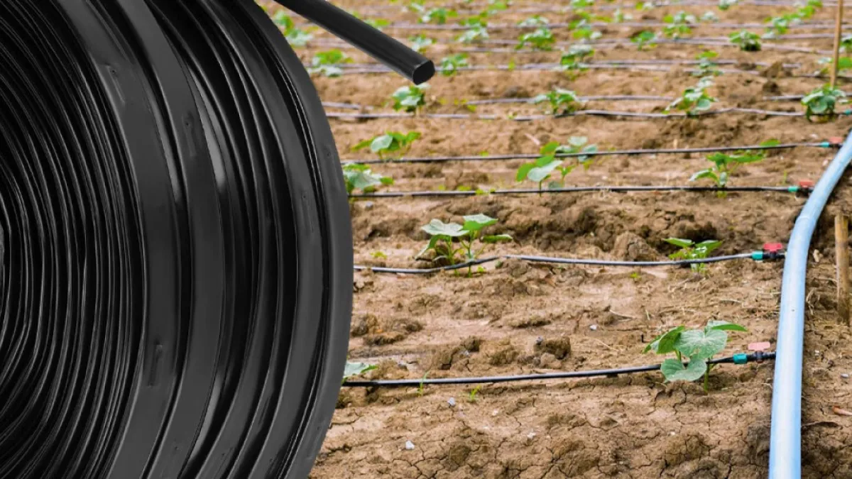 راهنمای خرید نوار تیپ آبیاری برای بهترین انتخاب