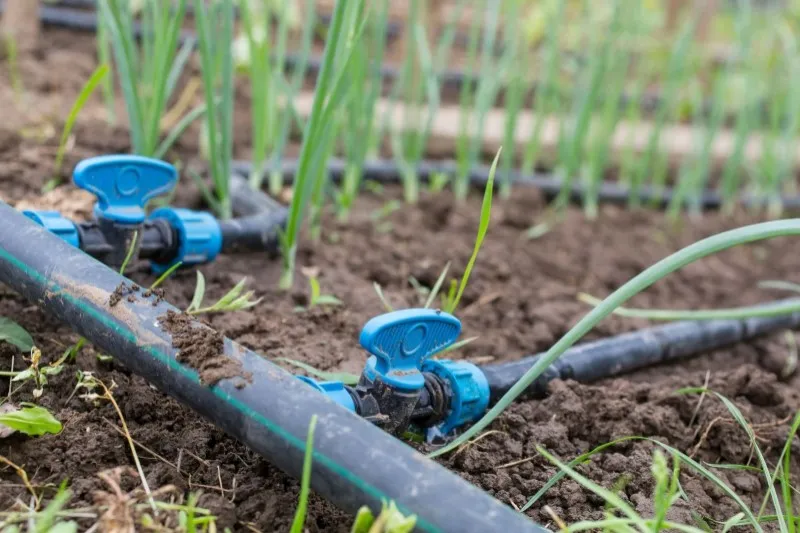 راهنمای نصب و نگهداری صحیح نوار تیپ