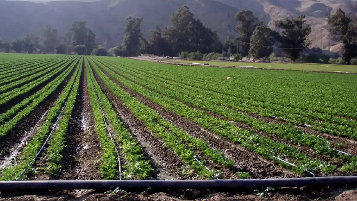 روش نصب لوله هیدروفلوم به چه صورت است؟