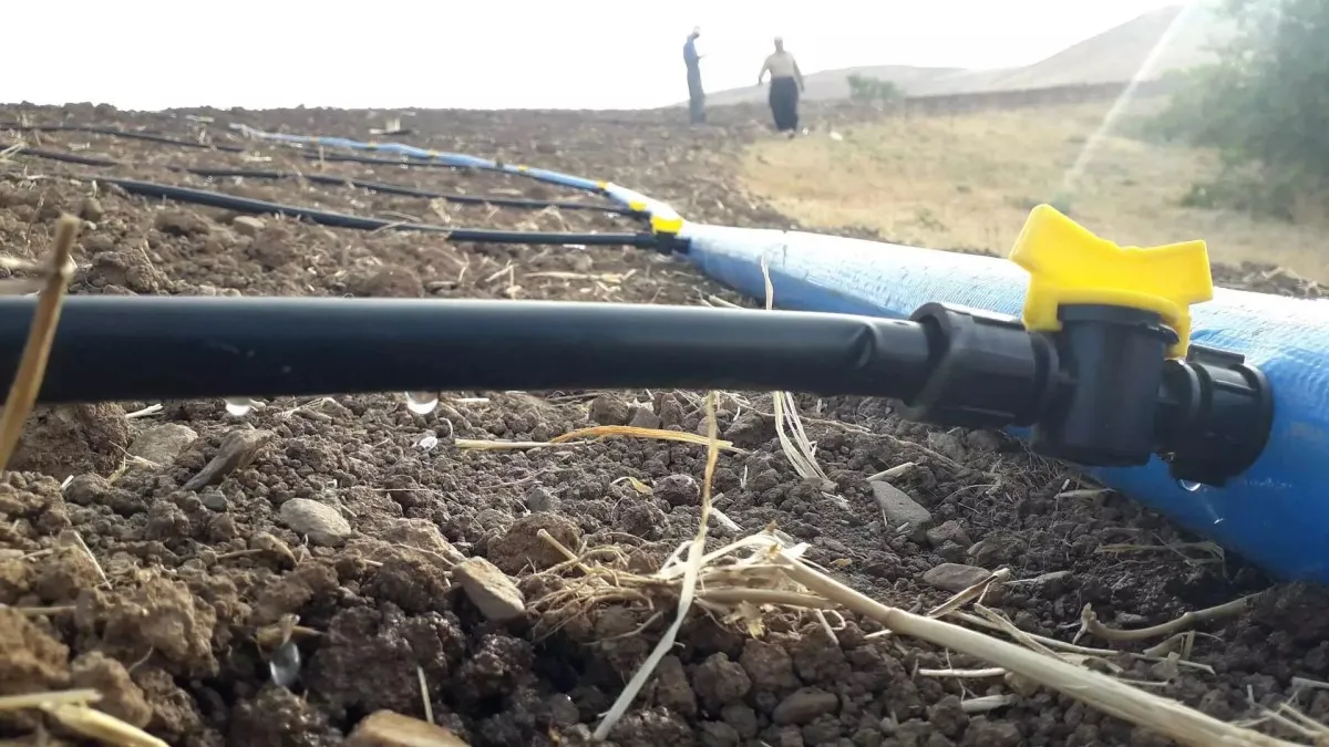 مقایسه لوله هیدروفلوم با نوار تیپ | کدام را انتخاب کنیم؟