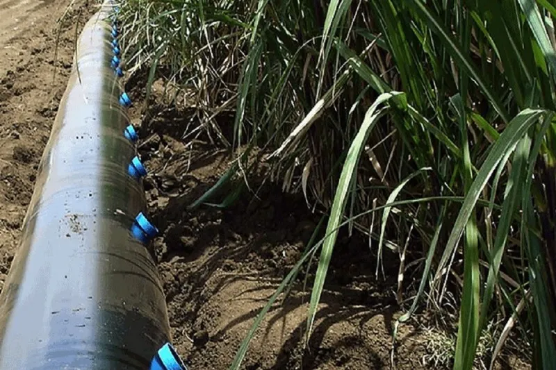 مقایسه لوله هیدروفلوم با نوار تیپ | کدام را انتخاب کنیم؟ 2 نیاز به فیلتراسیون و فشار آب