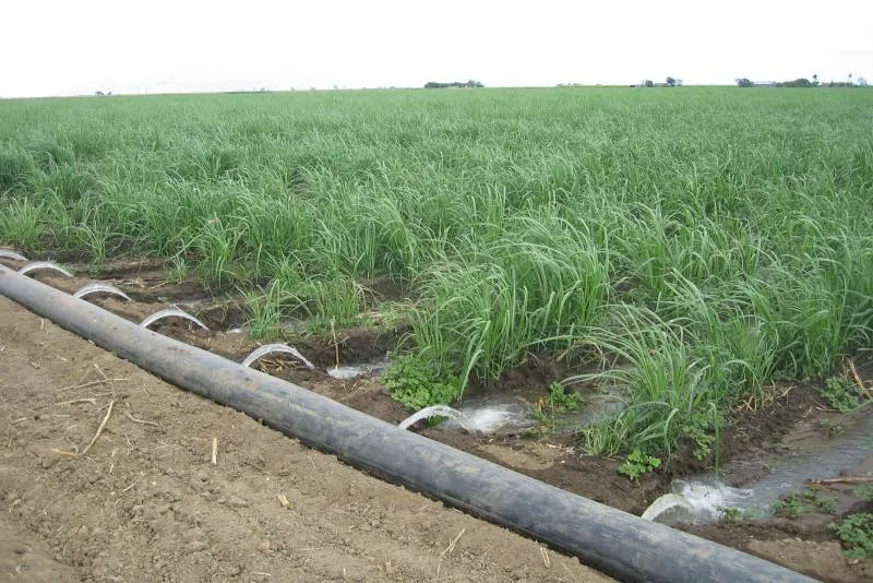 آبیاری به کمک لوله های هیدروفلوم | هرچه باید بدانید 1 چرا آبیاری با هیدروفلوم یک انتخاب بهتر است؟