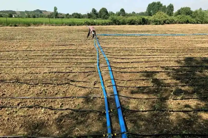 بررسی جامع اجزای سیستم آبیاری قطره ای 2 شبکه انتقال؛ لولههای اصلی و لترالها