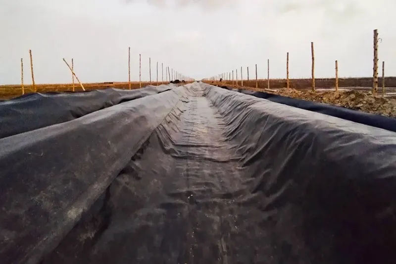 مشکلات ژئوممبران و راه حل آنها 2 تخریب محیطی؛ اثرات مخرب اشعه ماوراء بنفش