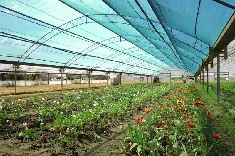 راهنمای توریهای شید گلخانه و سایبان 1 ساختار فنی و جنس توریهای سایبان